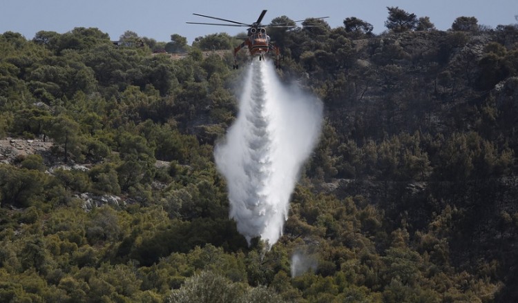 Φωτιά στην Εύβοια, σε δασική περιοχή