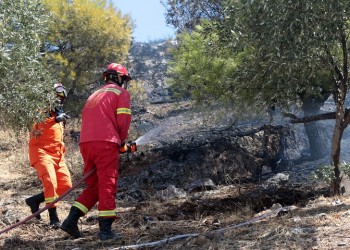 Φωτιά στην Καβησό Έβρου