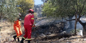 Φωτιά στην Καβησό Έβρου
