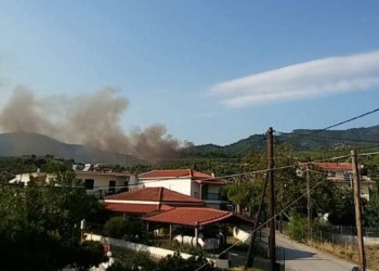 Φωτιά στην Εύβοια, σε δασική περιοχή 2