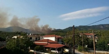 Φωτιά στην Εύβοια, σε δασική περιοχή 2