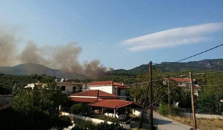 Φωτιά στην Εύβοια, σε δασική περιοχή 2