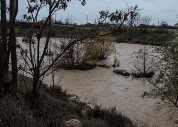 Η κακοκαιρία «Θάλεια» προκάλεσε μεγάλες ζημιές σε αγρότες και κτηνοτρόφους του Δήμου Λαγκαδά