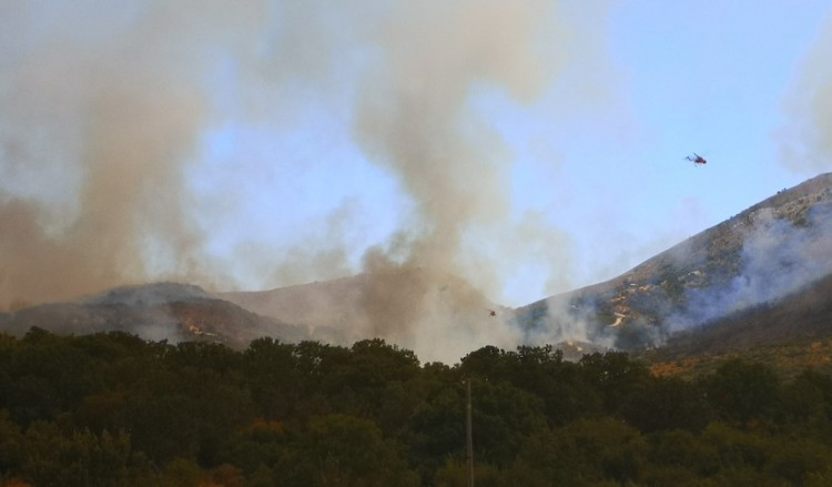 Φωτιά στην Ανατολική Μάνη: Εντός της εβδομάδας οι αποζημιώσεις των πληγέντων