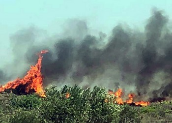 Πυρκαγιά στο Αγρίδι Ηλείας