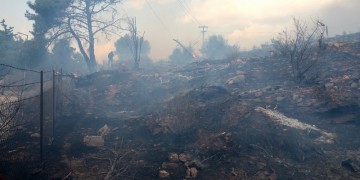 Αρχηγός Πυροσβεστικής: Υπό μερικό έλεγχο η πυρκαγιά στον Βύρωνα