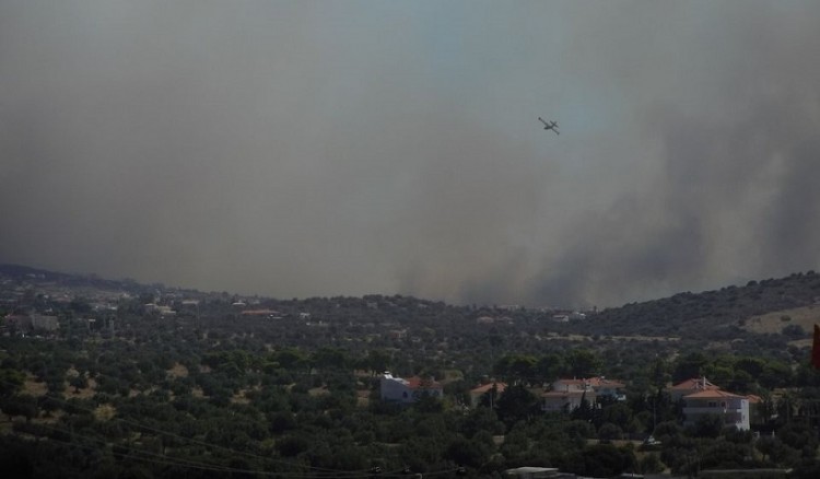 Φωτιά στην Κερατέα Αττικής, στη Φέριζα (βίντεο)