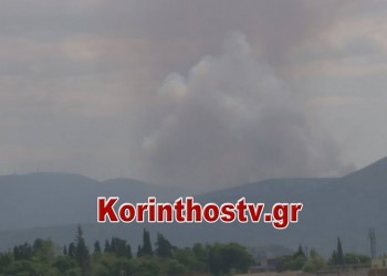 Φωτιά σε δάσος στην Κορινθία (βίντεο)