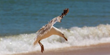 Ο καιρός την Κυριακή: Μελτέμι στο Αιγαίο και υψηλές για την εποχή θερμοκρασίες