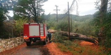 (Φωτ. αρχείου)