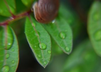 Από την Πέμπτη η πρώτη φθινοπωρινή επιδείνωση του καιρού, με βροχές και τοπικές καταιγίδες