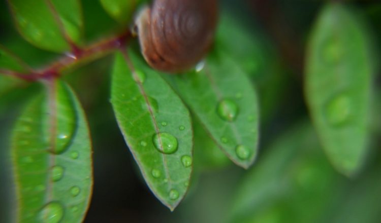 Από την Πέμπτη η πρώτη φθινοπωρινή επιδείνωση του καιρού, με βροχές και τοπικές καταιγίδες