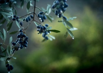 Άστατος ο καιρός σήμερα Παρασκευή 30 Οκτωβρίου