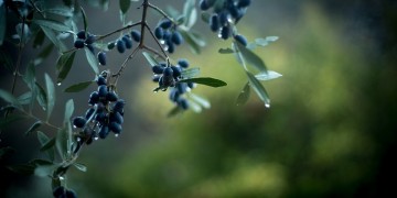 Άστατος ο καιρός σήμερα Παρασκευή 30 Οκτωβρίου