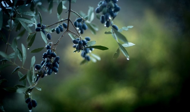Άστατος ο καιρός σήμερα Παρασκευή 30 Οκτωβρίου