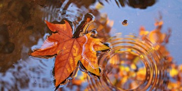 Ψυχρό μέτωπο θα προκαλέσει πρόσκαιρη επιδείνωση του καιρού από το βράδυ