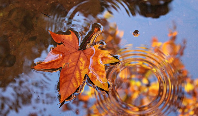 Ψυχρό μέτωπο θα προκαλέσει πρόσκαιρη επιδείνωση του καιρού από το βράδυ