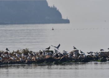 Συννεφιασμένος καιρός το Σάββατο, με άνοδο της θερμοκρασίας και ομίχλες