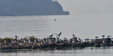 Συννεφιασμένος καιρός το Σάββατο, με άνοδο της θερμοκρασίας και ομίχλες