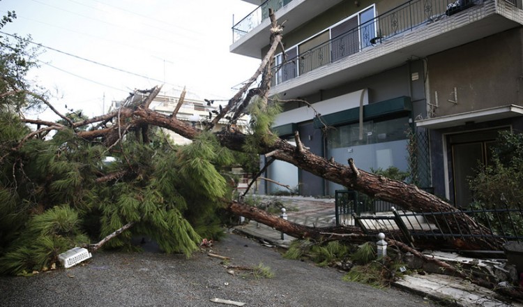 Κλιματική αλλαγή: Μην αναρωτιέσαι πλέον πώς θα είναι ο καιρός, αλλά τι θα προκαλέσει