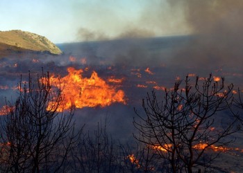 Υπό μερικό έλεγχο η πυρκαγιά στη Μικροκώμη του Δήμου Βόλβης