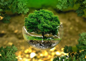 Πρόταση WWF: «Πράσινο» πακέτο ανάκαμψης για την ελληνική οικονομία