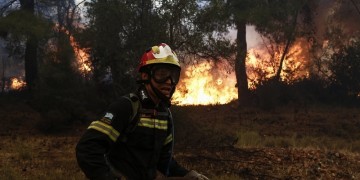 Φωτιά σε περιοχή του Δήμου Βόλβης Θεσσαλονίκης
