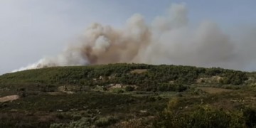 Μεγάλη φωτιά στη Ζάκυνθο (βίντεο)