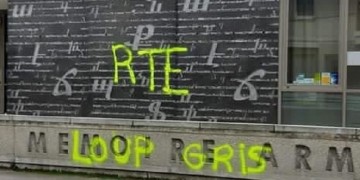 Τουρκία: Η Άγκυρα «θα απαντήσει αποφασιστικά» μετά τη διάλυση των Γκρίζων Λύκων στη Γαλλία