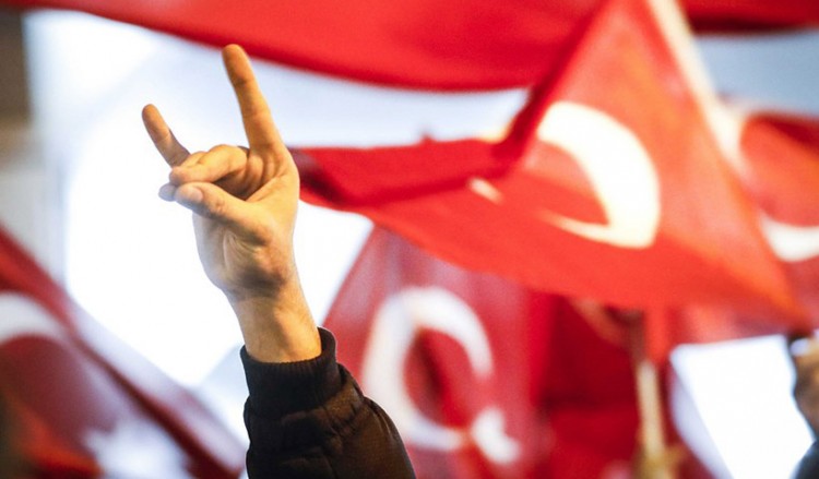 Γερμανία: Πιέσεις για απαγόρευση των Γκρίζων Λύκων