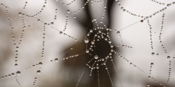 (Φωτ.: pexels.com)