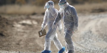 Κορονοϊός: Κρούσματα σε φάρμα βιζόν στα Γρεβενά