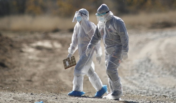 Κορονοϊός: Κρούσματα σε φάρμα βιζόν στα Γρεβενά