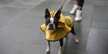 Καιρός: Βροχές την Τετάρτη, η θερμοκρασία σε μικρή πτώση