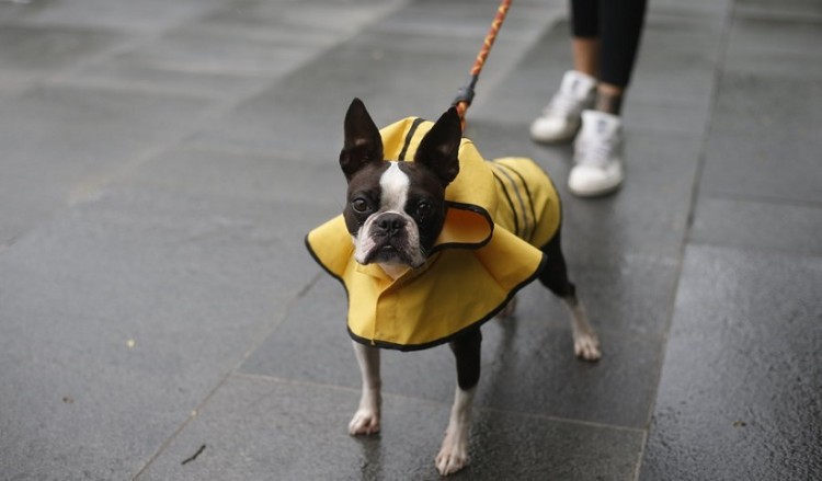 Καιρός: Βροχές την Τετάρτη, η θερμοκρασία σε μικρή πτώση
