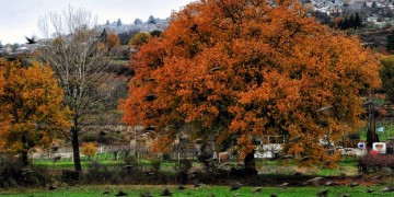 Καιρός: Εξασθενούν οι βοριάδες, η θερμοκρασία στα κανονικά για την εποχή επίπεδα