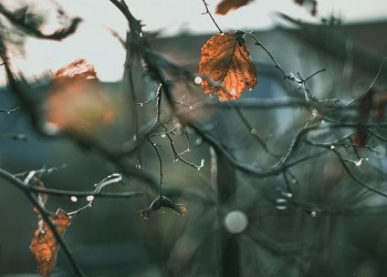 Πρωτομηνιά με βροχές – Ο Δεκέμβριος φέρνει κρύο σήμερα