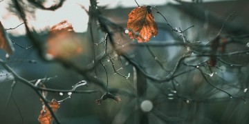 Πρωτομηνιά με βροχές – Ο Δεκέμβριος φέρνει κρύο σήμερα