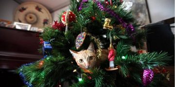 (Φωτ.: EPA / Barbara Walton)