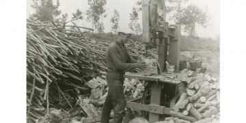 Κοπή ξύλων στη Φυτειά Ημαθίας. Απεικονίζεται ο ξυλέμπορος Γιώργος Μπεσίνας, το 1960 (πηγή: Δημόσια Κεντρική Βιβλιοθήκη της Βέροιας)