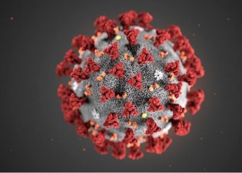 (Φωτ. αρχείου: EPA / Centers for Disease Control and Prevention Handout)