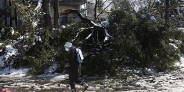 Γυναίκα περνά μπροστά από πεσμένο δέντρο στην περιοχή της Κηφισιάς (φωτ.: ΑΠΕ-ΜΠΕ/ Γιάννης Κολεσίδης)