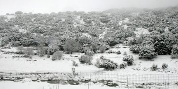 (Φωτ.: ΑΠΕ-ΜΠΕ/Στέφανος Ραπάνης)