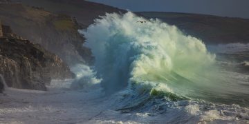 (Φωτ.: pixabay.com / AndrewSonghurst)