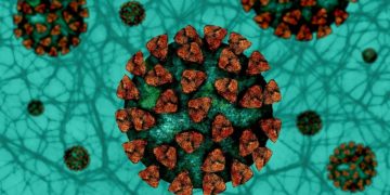 (Φωτ.: pixabay.com / Gerd Altmann)