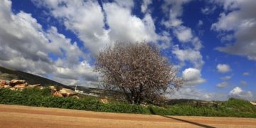 (Φωτ.: EPA / Alaa Badarneh)