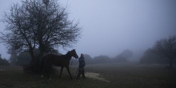 (Φωτ.: ΑΠΕ-ΜΠΕ / Δημήτρης Τοσίδης)