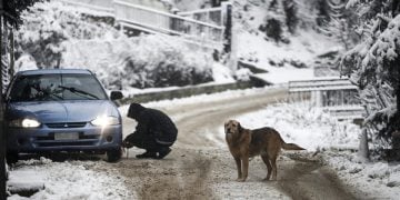 (Φωτ.: ΑΠΕ-ΜΠΕ / Δημήτρης Τοσίδης)