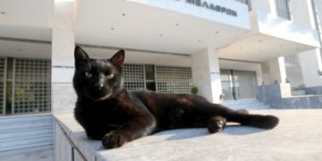 Εξωτερική άποψη του Αρείου Πάγου (φωτ.: ΑΠΕ-ΜΠΕ/Παντελής Σαΐτας)