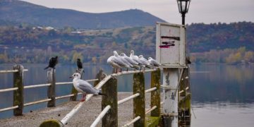 (Φωτ.: el.wikipedia.org/Natura 2000)